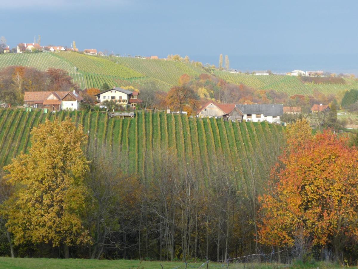 Auszeit Ferienhaus Fur 6 Personen ,Mit Grosser Terrasse Und Panoramablick, Turracher Hohe -A1 Haus 436 A Links- Bagian luar foto